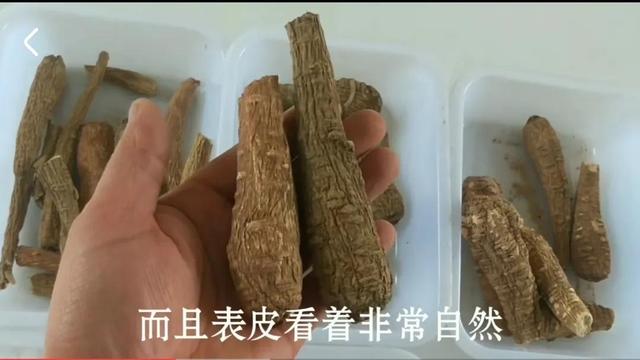 白芷是什么调料，白芷，香料界的斜杠青年