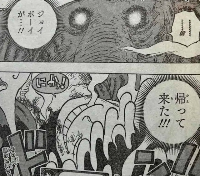 海贼王漫画更新时间，海贼王什么时候更新（海贼王动画、漫画双双停更）