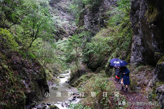 万亩油菜花海游玩攻略，奔赴川陕交界的巴山秘境