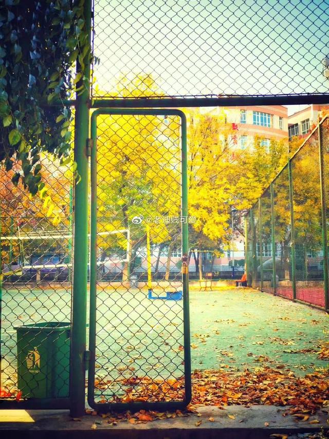 新疆财经大学怎么样，新疆财经大学研究生分数线（不说再见！新疆财经大学）