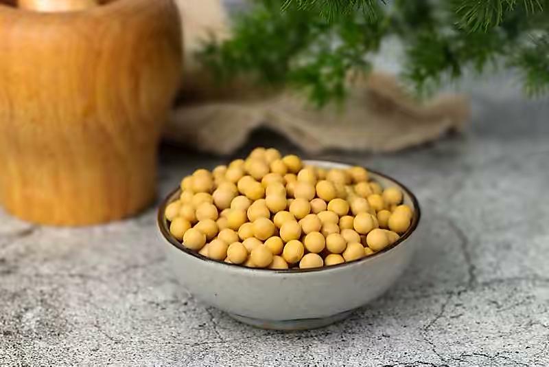 花肥用什么肥料好，养花用什么肥料（家里“5种”东西）