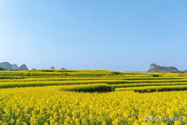 一家人的微信群名字叫什麼好,