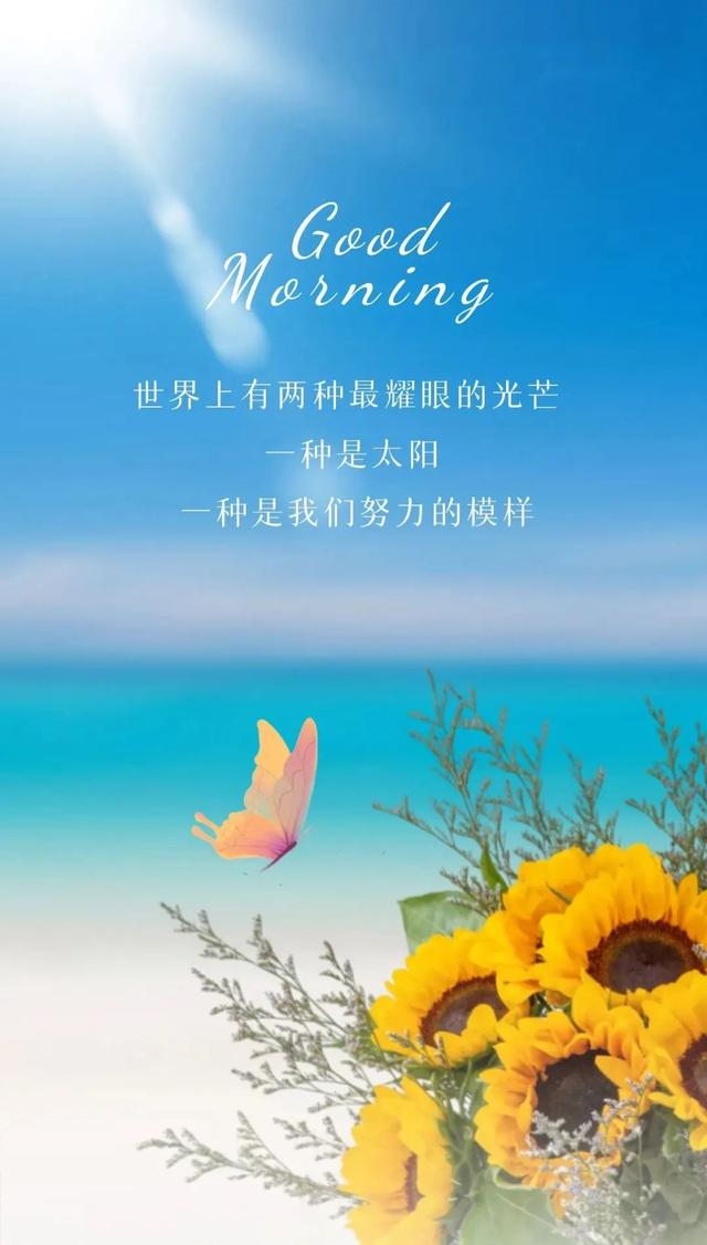 工作辛苦正能量的幽默句子，开心上班幽默正能量的句子（正能量温情语录句子）