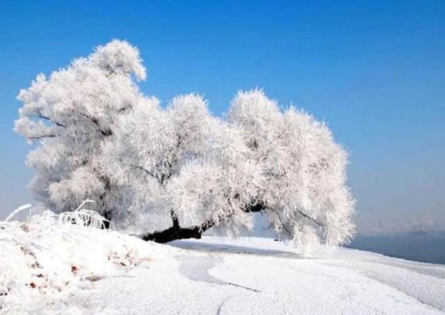 没有感情的感情，没有感情的5种表现（《雪国》：看似热烈的婚外感情）