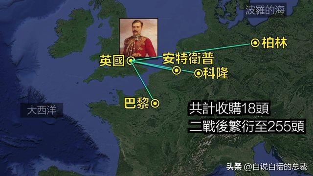 鹿血酒多少钱一瓶，鹿血酒一瓶500ml要多少钱（这是人们认为它是仙兽真正的原因）