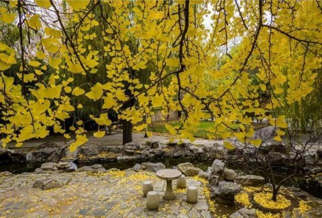 关于心态的句子，保持心态的好句子（保持乐观心态的句子，简短入心）