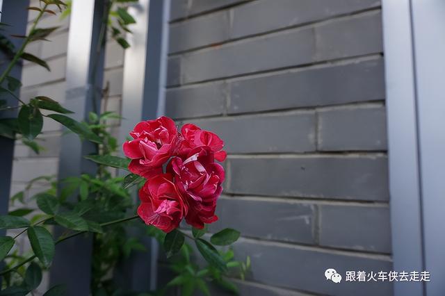 南京都有哪几个区，南京财经大学都有哪几个校区呀（南京人看南京——街区篇-T80园区）