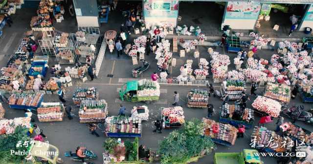 昆明鲜花批发市场地址，昆明花市场在哪里（定格鲜花交易最火的瞬间）