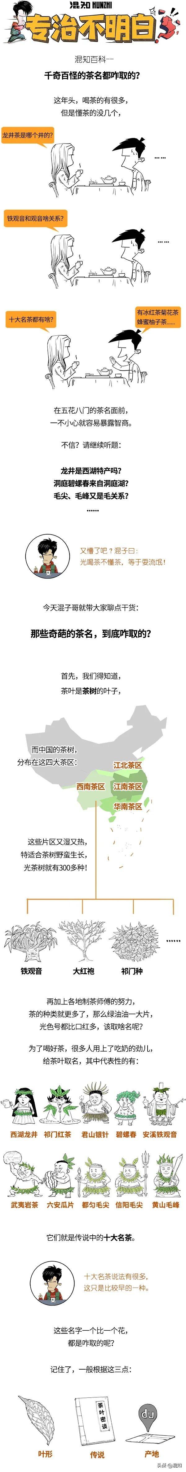 中国十大花茶排名，中国十大花茶最新排名（一口气搞懂中国十大名茶）