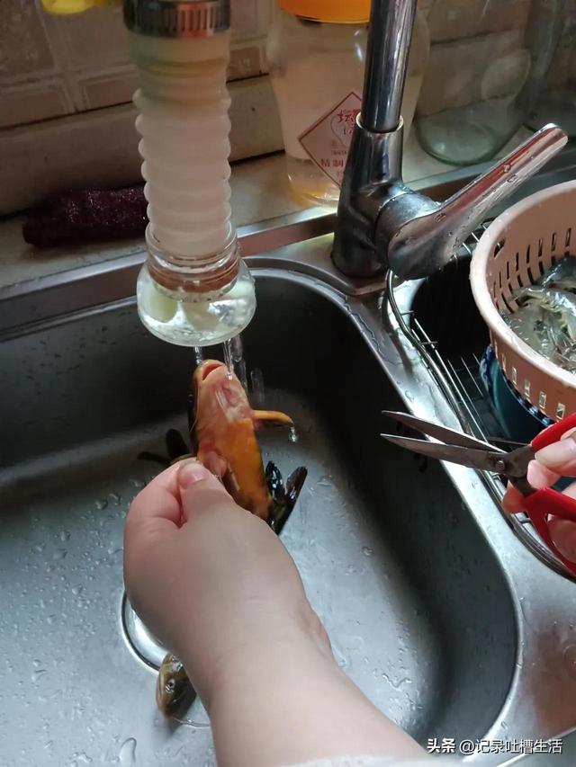 黄鸭叫怎么做才好吃，请听黄鸭叫的叫声，它是鸭吗