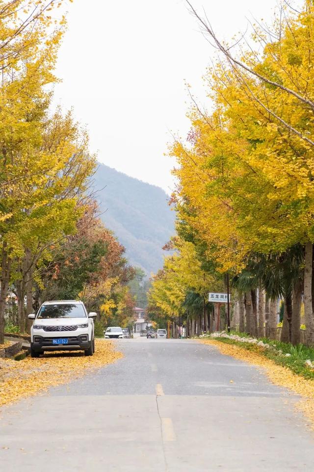 汉中旅游景点排名推荐，汉中旅游景点大全排名榜（在汉中一年四季可以这样玩 →）