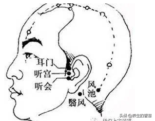 胆经的准确位置图，真人胆经穴位运行路线图（最完整的经络笔记）