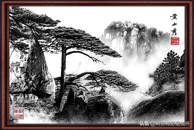 松树有什么象征与含义，松树象征的意义是什么（松在中华文化中象征着一种精神）