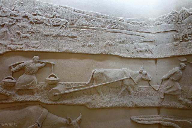 地板砖有哪些分类，地板砖有哪些分类方法（说到做到，对台制裁来了）