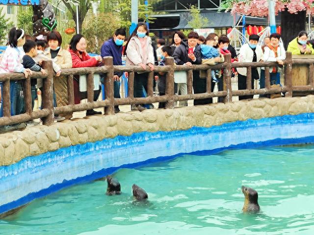 儿童乐园：洛阳中赫海豚湾海洋公园