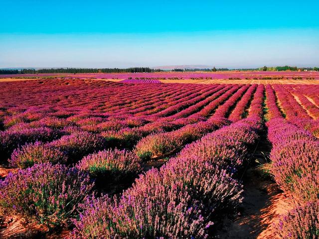 七八月份去哪里旅游比较好，七八月适合带孩子去哪里旅游（8月的旅行清单来了）