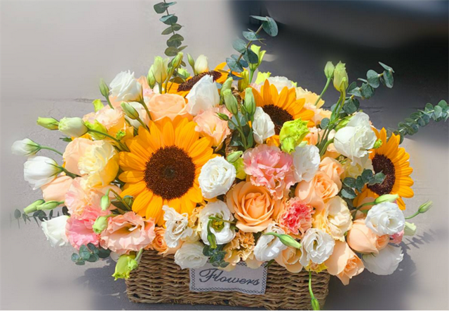 探病送什么花，有4个方面需要考虑周全（探病送什么花合适宝）