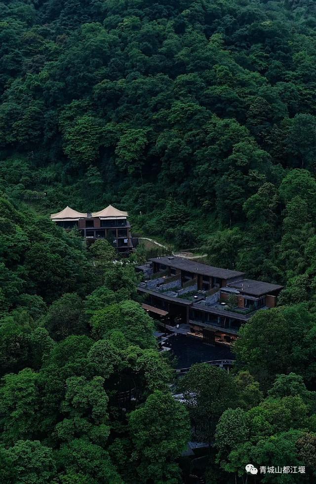 青城山旅游，青城山旅游图（赏千年银杏、观层林尽染、泡山间温泉......顶奢配置慢生活尽在青城山～）