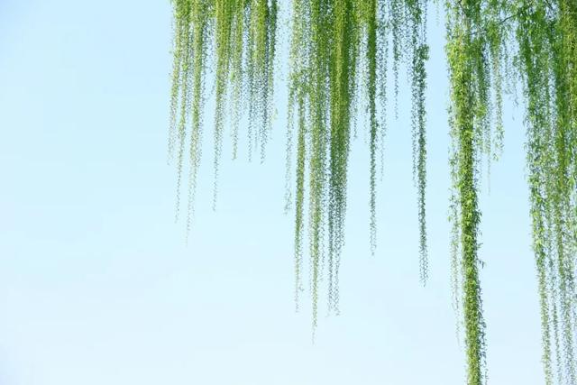 拂能组什么词语惭能组什么词语，拂能组啥词儿（10首最美惊蛰诗词）