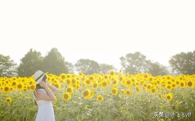 蓝颜知己是什么意思，蓝颜知己什么意思（为什么会爱上“蓝颜知己”）