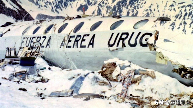 继续活下去的五个故事，关于电影继续活下去的五个故事（告诉我们“生存意志”才是幸存者的生存之法）