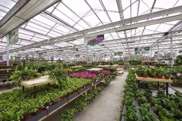 盆景花卉批发市场，重庆市花卉盆景批发市场在哪里（这几个平台市场随你逛）