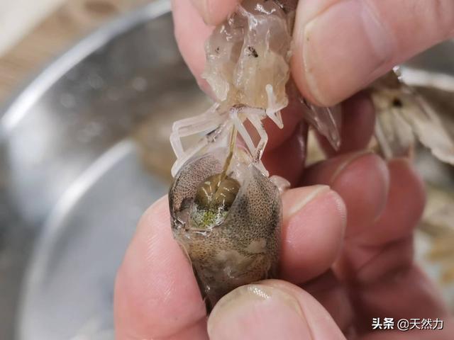 虾蒸蛋怎么做好吃又嫩，虾蒸蛋怎么做好吃又嫩好吃（详细的做法和步骤全告诉你）