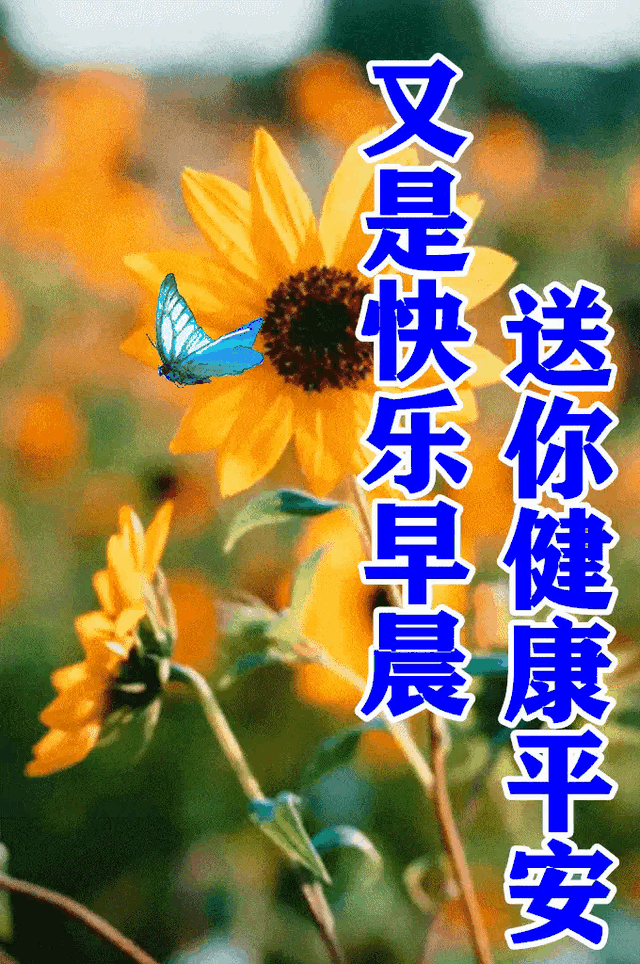 03年属什么生肖，03年属什么（2023年04月03日）