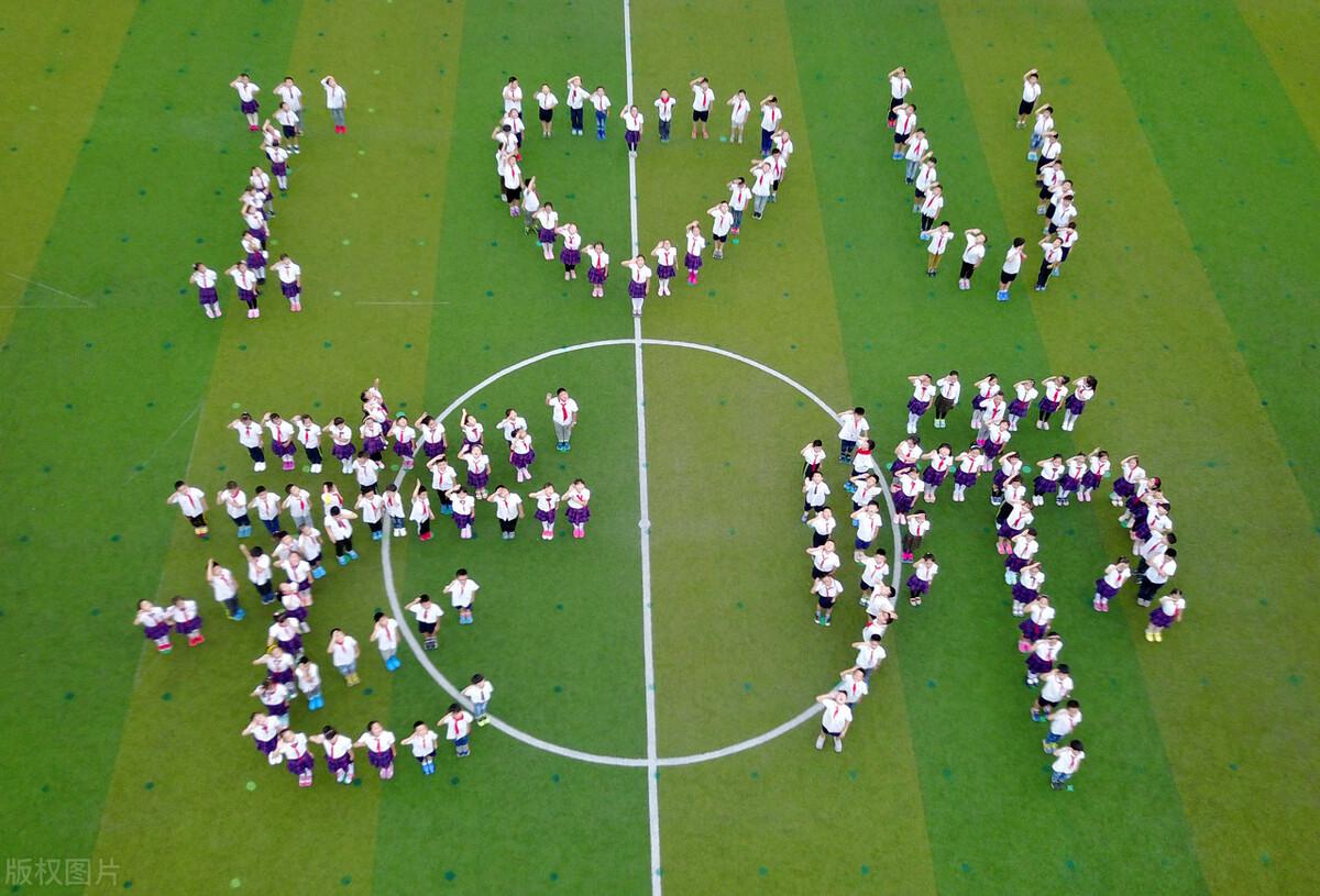 小学教师资格证考试科目怎么选（还剩一个月左右）