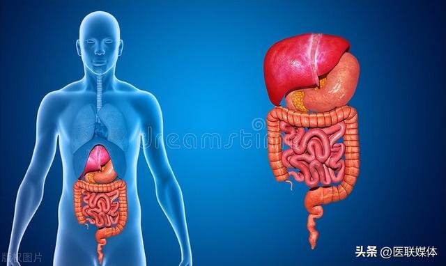 脾胃虚的表现有哪些，脾胃虚的表现有哪些症状（身体会有4个预警）