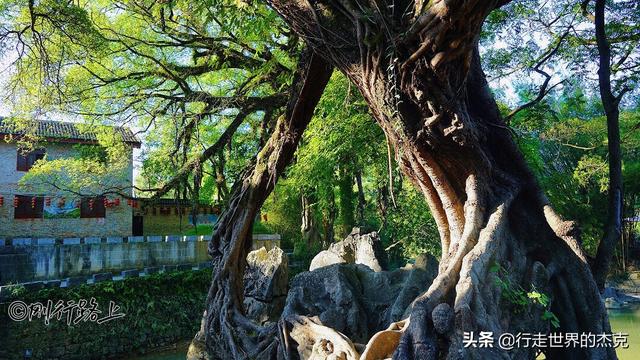 黄姚古镇旅游攻略，黄姚古镇旅游行程路线住宿攻略（享一慵懒时光——黄姚古镇）