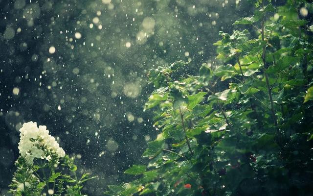 雨是怎样形成的，雨是怎么形成的（你知道为什么会下雨）