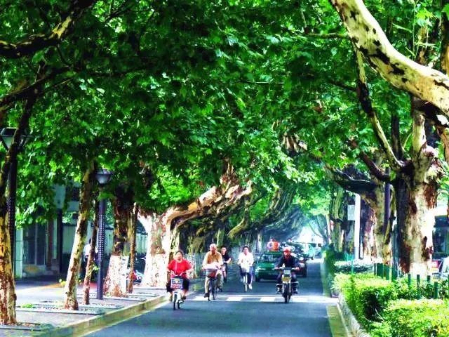 春天去哪里旅游好，这才是春天最值得去的20个地方（中国最美的30个地方）