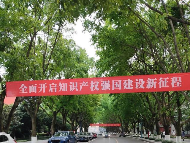 考上西南政法大学意味着什么，西南政法大学和211选哪个（揭秘西南政法“硬核”专业）