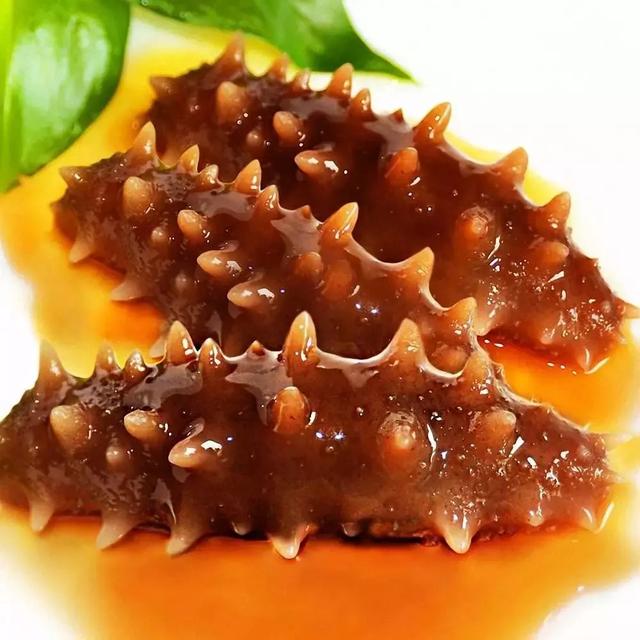 干海参泡发的正确方法，干海参泡发的正确方法视频（最全面的干海参泡发方法）