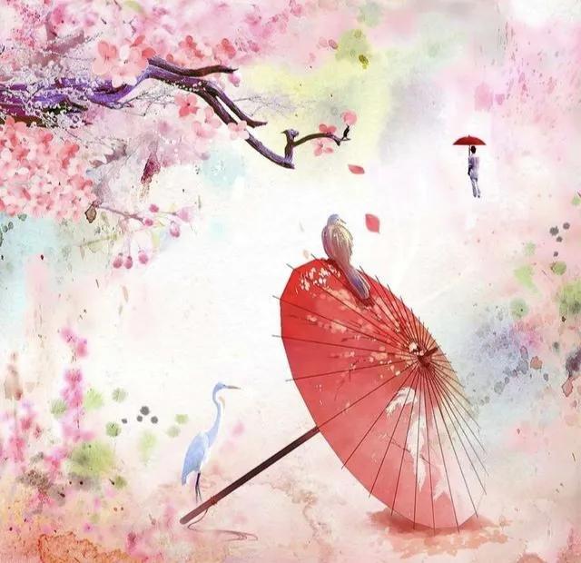 精油加盟明矾的功效与作用，明矾加香油有什么作用（摄政王的软萌小王妃）