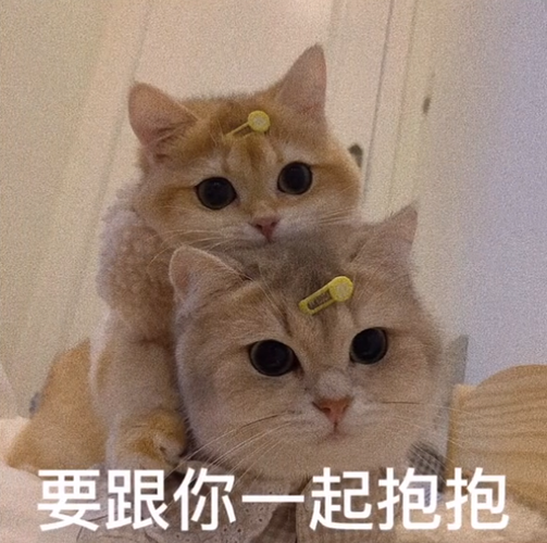 弗吉尼亚大学全美排名，2021弗吉尼亚大学世界排名（暨U.S.News公布美国公立大学排名）