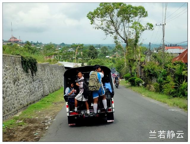 猫屎咖啡的价格，猫屎咖啡多少钱一杯（印尼巴厘岛旅游）