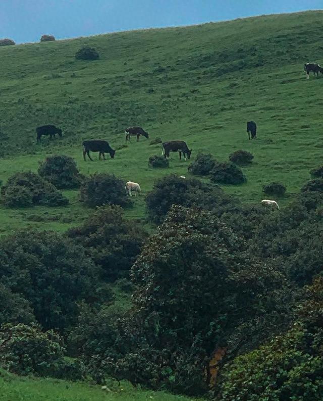 这才是大理正确的打开方式