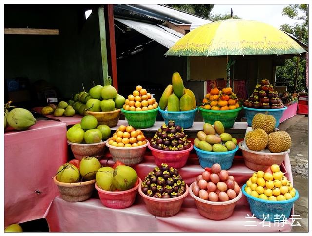猫屎咖啡的价格，猫屎咖啡多少钱一杯（印尼巴厘岛旅游）
