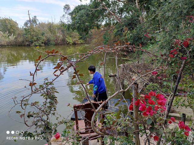 一什么鱼塘，一什么鱼塘量词（家乡的那一方鱼塘）
