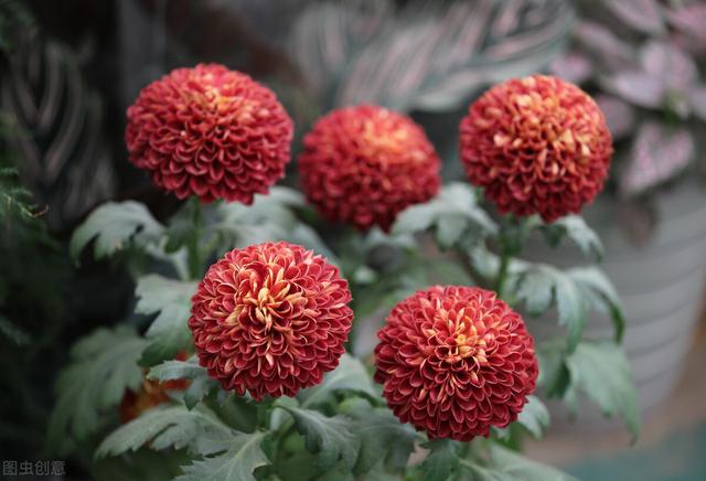 思念变成海网名，思念变成海喜欢汇成河微信昵称（是我一生的想念）