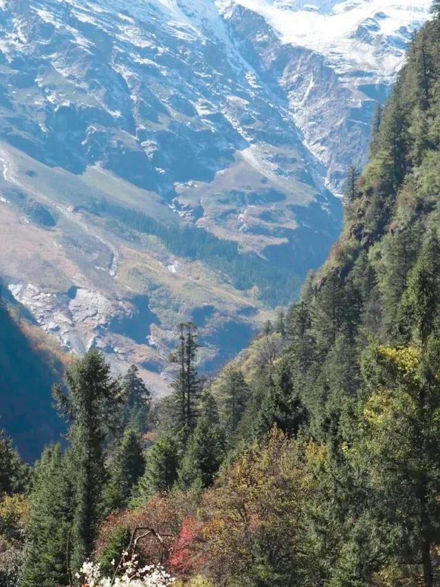 不如名师指路前面一句是什么，不如名师指路前面一句是什么成语（就是看透而不说透）