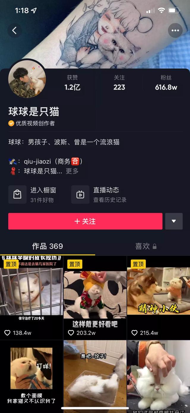 魔法哈奇怎么抓战宠，魔法哈奇怎么抓战宠视频（有一位以治愈系合集为主）