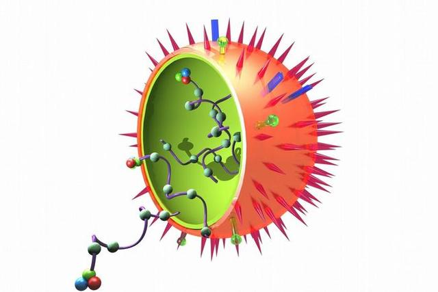 病毒是什么，病毒是什么生殖方式（那究竟是什么驱动它们发生变异的）