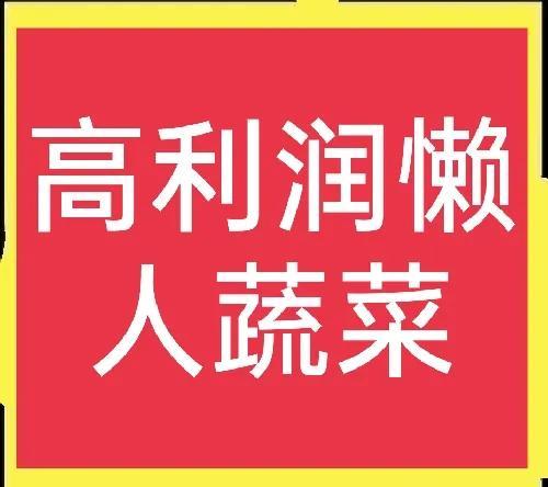 紫色的菜叫什么蔬菜，紫色的蔬菜有哪些（懒人蔬菜—紫色甘蓝）