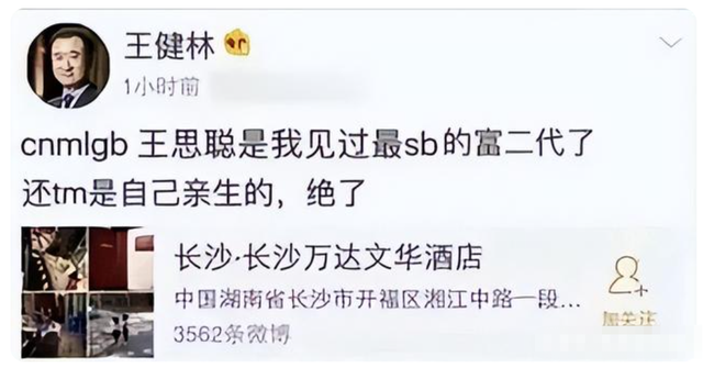 王思聪土味情话，王思聪土味情话有哪些（王思聪：专坑自家老爹王健林）