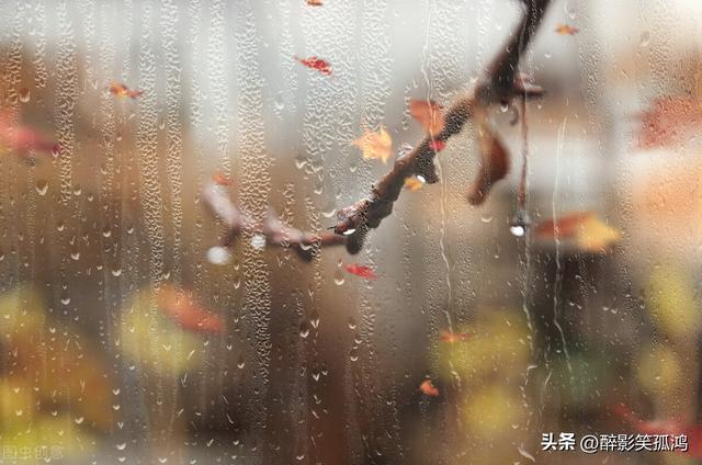 秋雨的特点，秋雨的特点要读出什么语气（三年级语文上册第6课《秋天的雨》课文讲解）