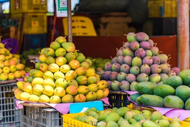 广西的特产水果有哪些，广西的特产有什么水果（满足水果控们的所有期望）