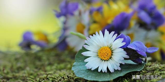 男人极力掩饰喜欢你，男人极力掩饰喜欢你是什么心理（男人会忍不住爱上你）